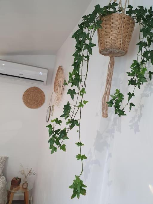 Studio-valentine Climatisee Avec Piscine Chauffee Marseille